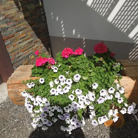 Apartmán Moeslehof