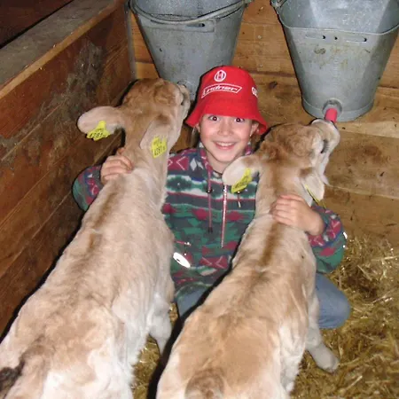 Moeslehof Appartement *