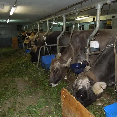 Appartement Moeslehof Kauns