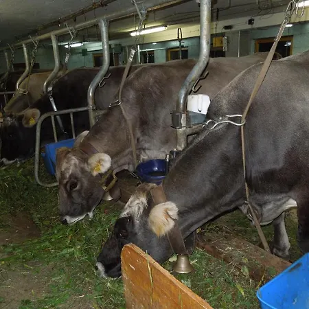 Appartement Moeslehof *