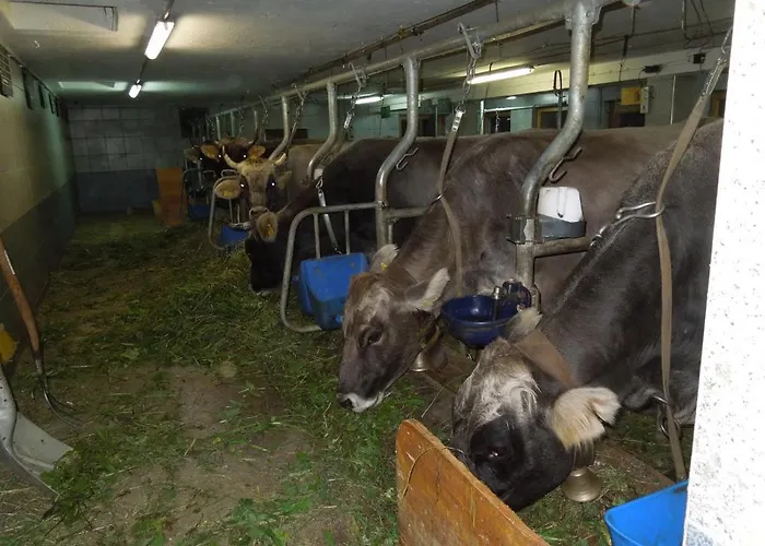 شقة Moeslehof Kauns